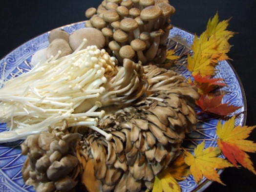 健康にダイエットに最適♪キノコ鍋付ヘルシープラン♪鮭川村は１年中色々なキノコを栽培。馬刺し付です！